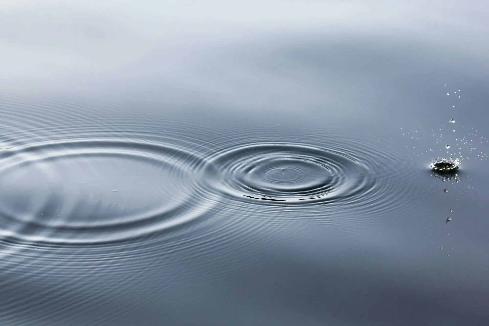 Concentric ripples spreading across still water